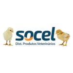 socel-300x300
